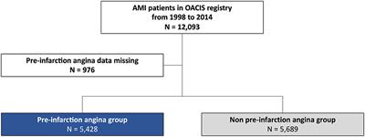 Pre-infarction Angina: Time Interval to Onset of Myocardial Infarction and Comorbidity Predictors